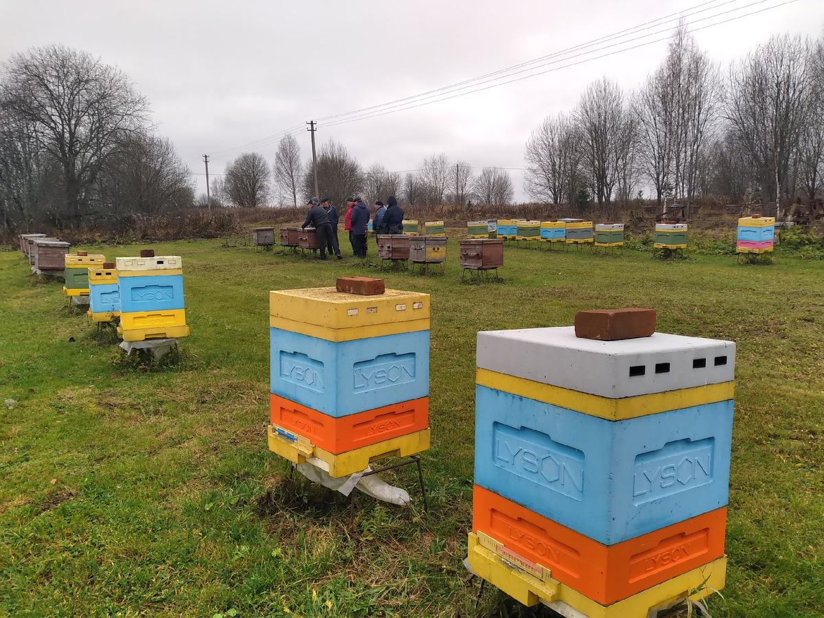 Фото: Юрий ПОДГАЕЦКИЙ