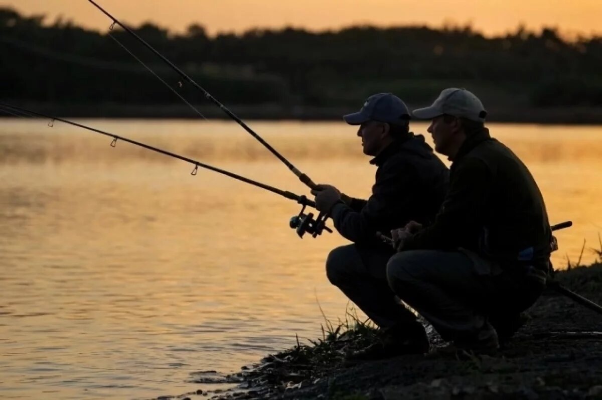    Какую рыбу не смогут ловить дончане в Ростовской области в ноябре