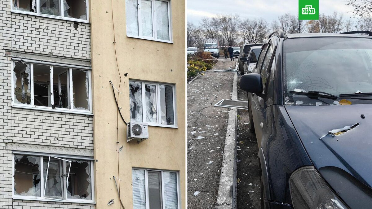    Фото: busargin_r / t.me