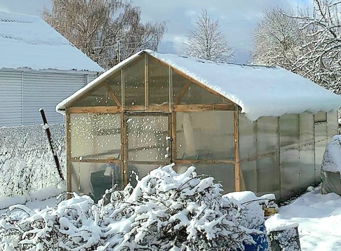 Фото автора. Ноябрь 2024-го.