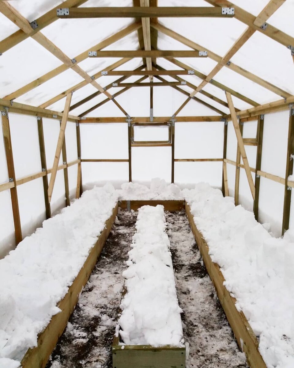 Фото автора. Теплица зимой, когда повезёт накидать в неё снега.