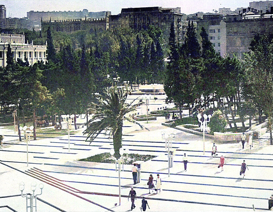 Пальма на площади Фонтанов