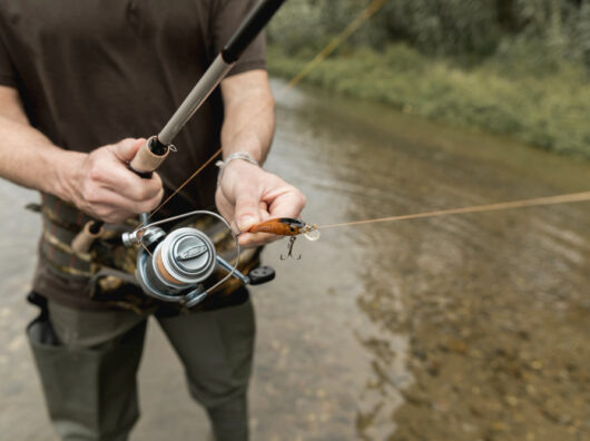    рыбалка // фото: Изображение от Freepik на Freepik