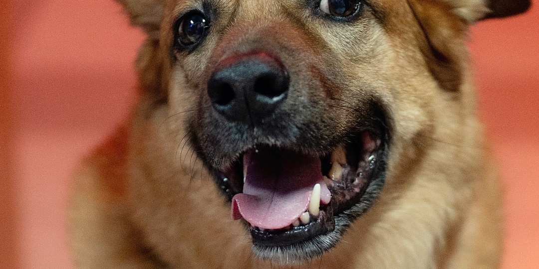 Киров! Отчёт с концерта