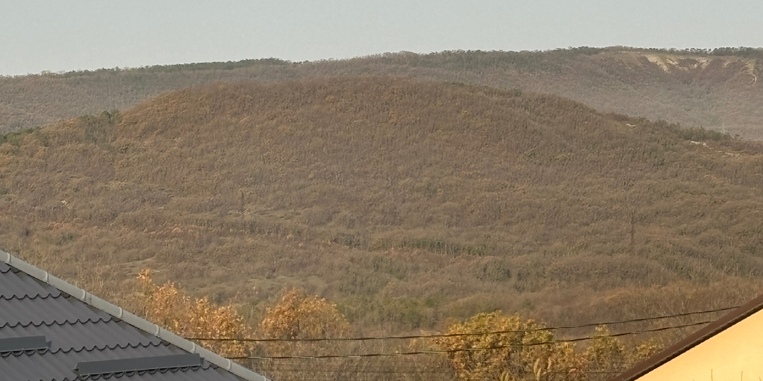 Что я вижу из своего окна