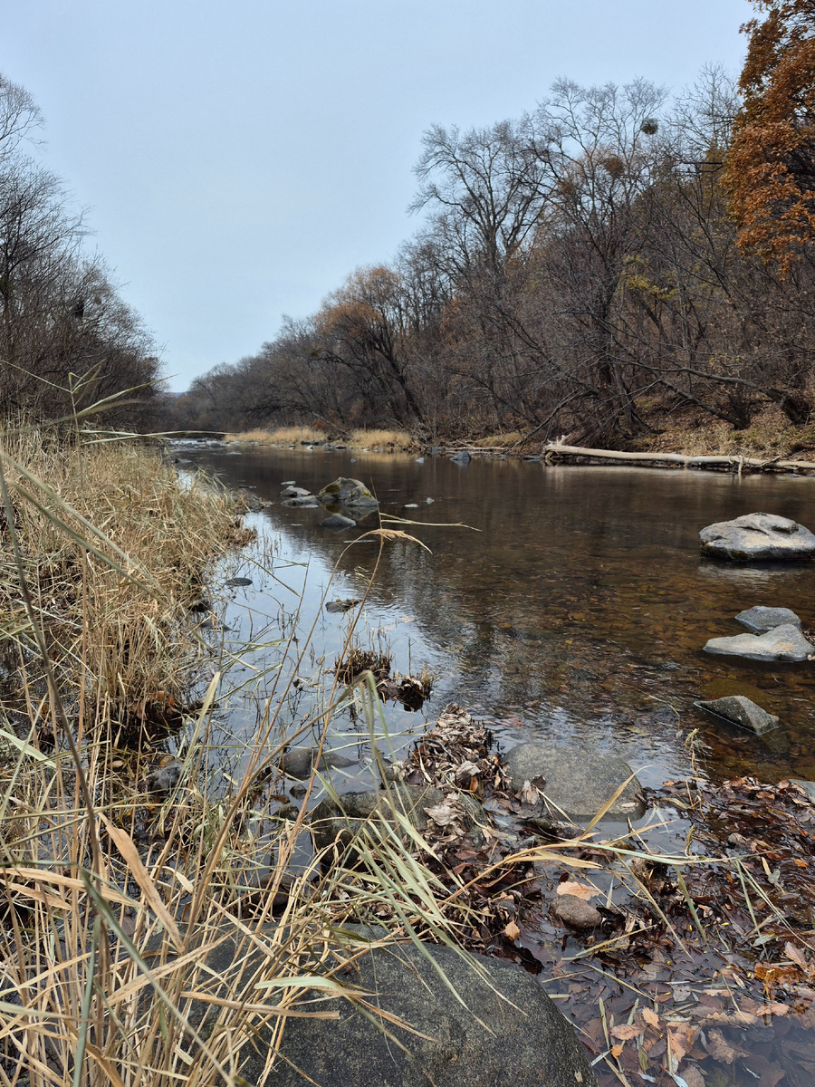 Река Илистая (в прошлом Лефу)