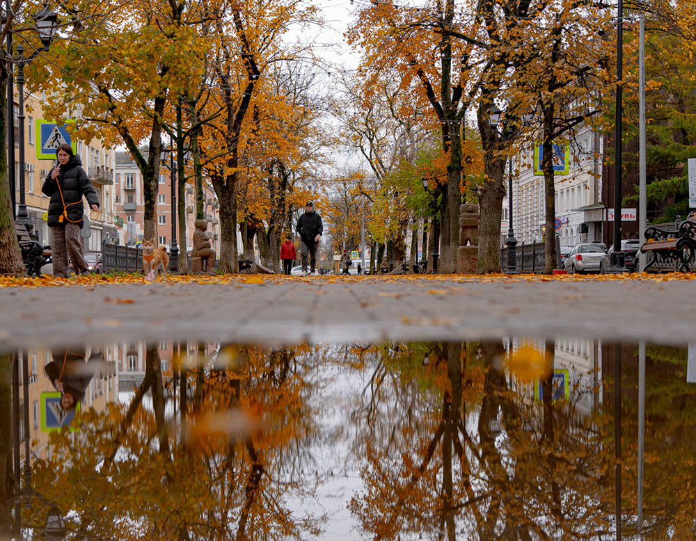 Погода в Твери в выходные. Еще тепло и капает
