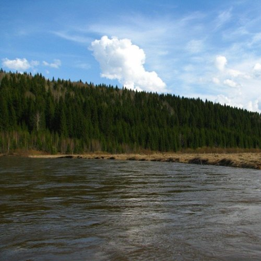 Река Абашева.