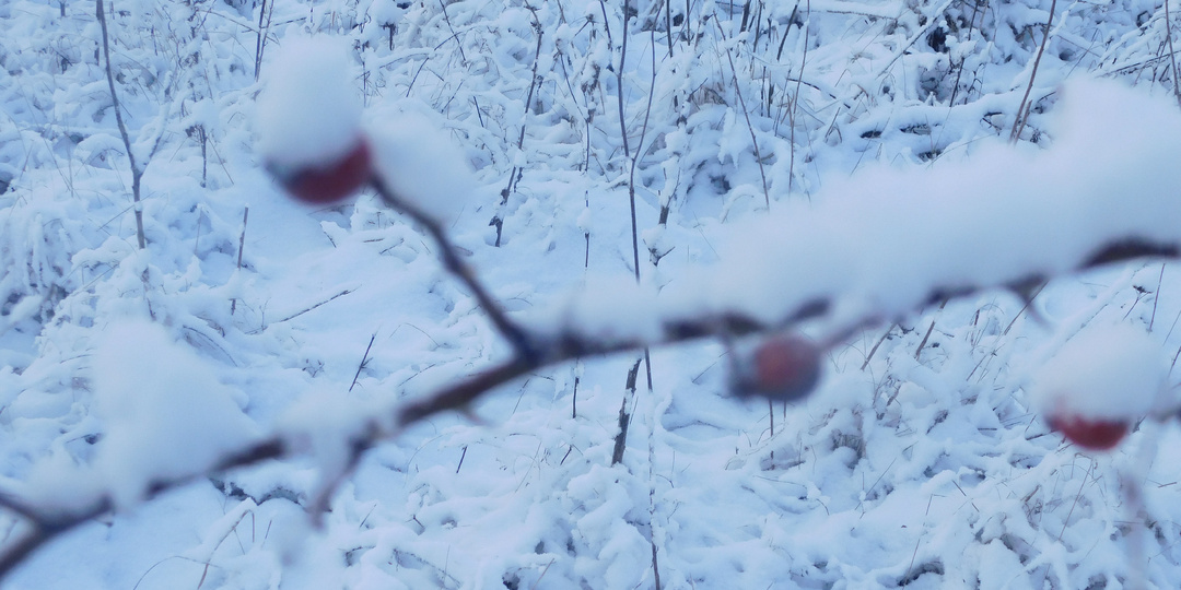 Мелодия старой гармони (часть 16)