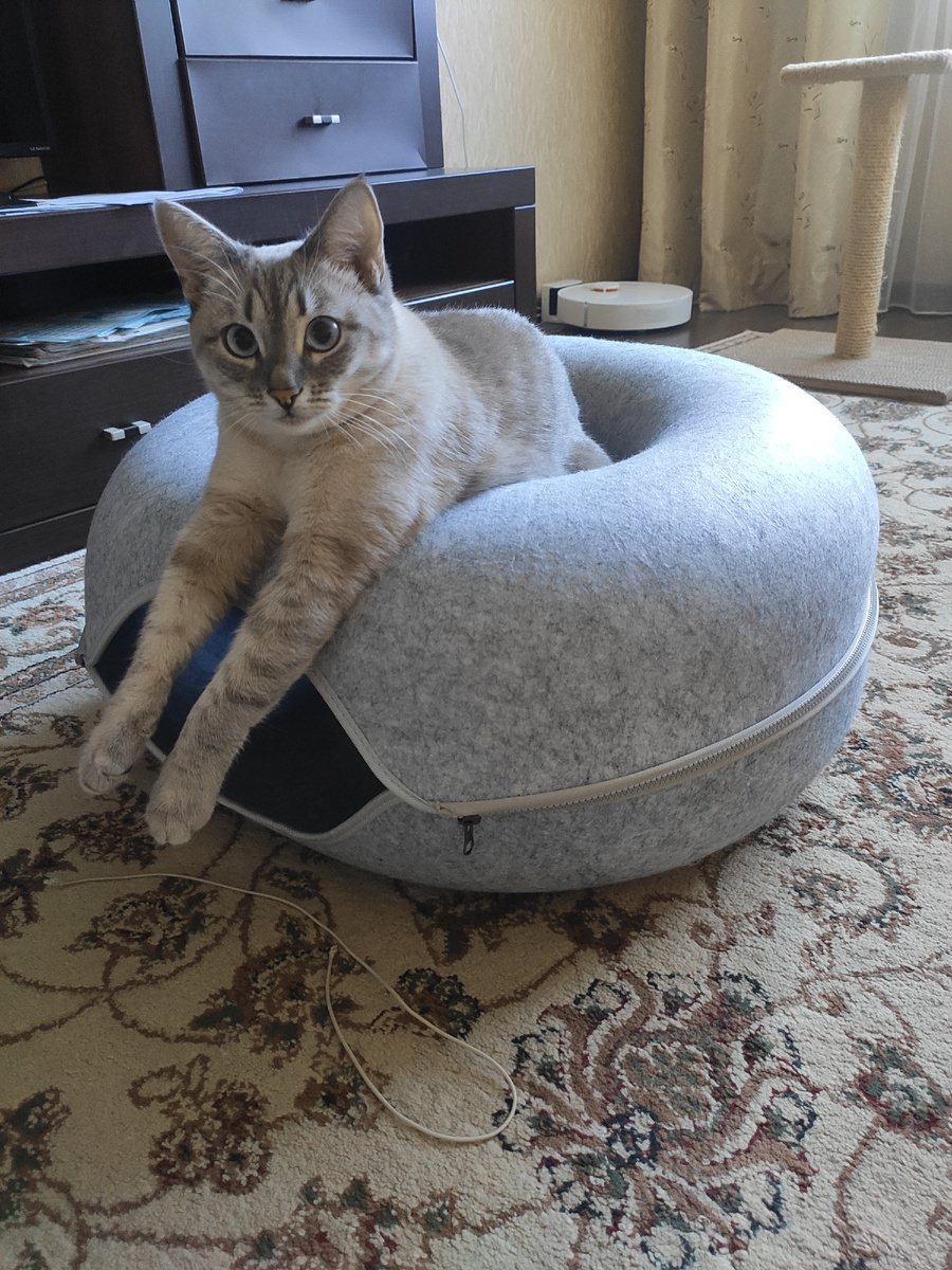 Кто понял жизнь - тот не торопится ...