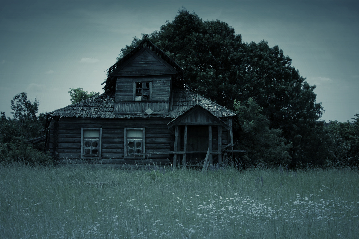 Картинка из интернета 