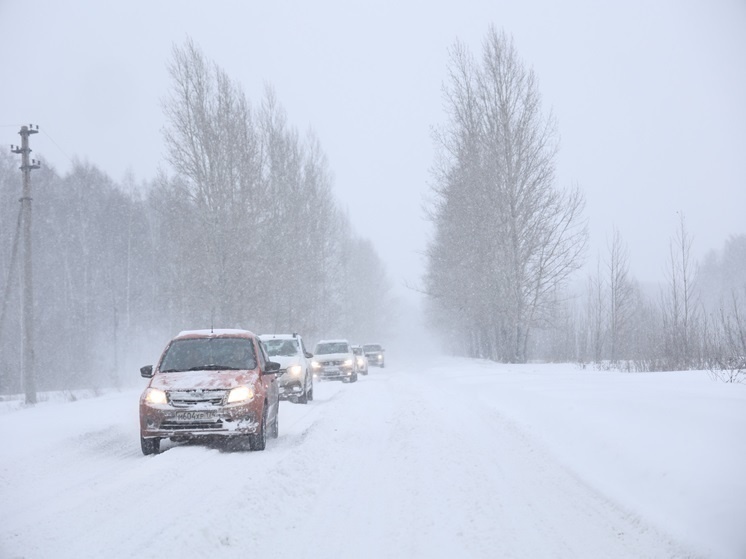 Фото в свободном доступе