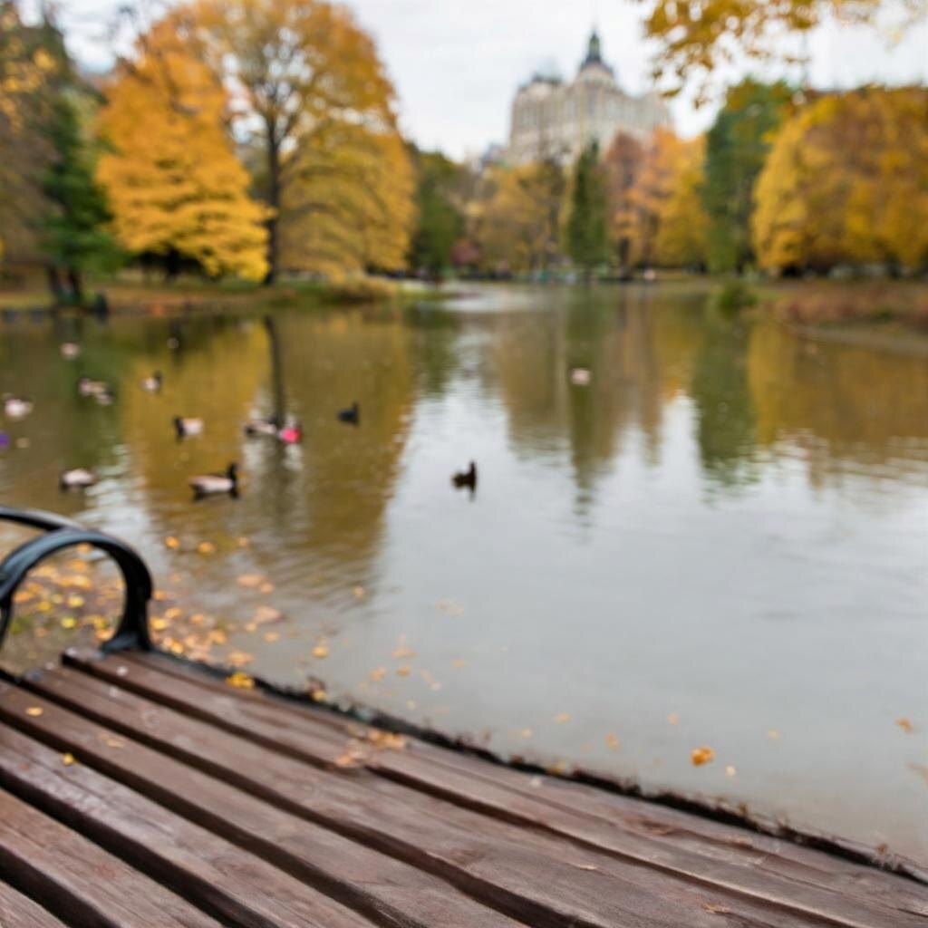 #суббота#картытаро#историяодногодня#выходные#жизнь