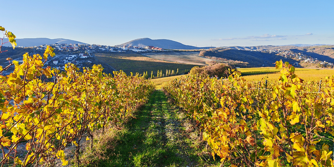 Колдовская прогулка: как мы с Наташей искали "шары Колдуна" под Новороссийском