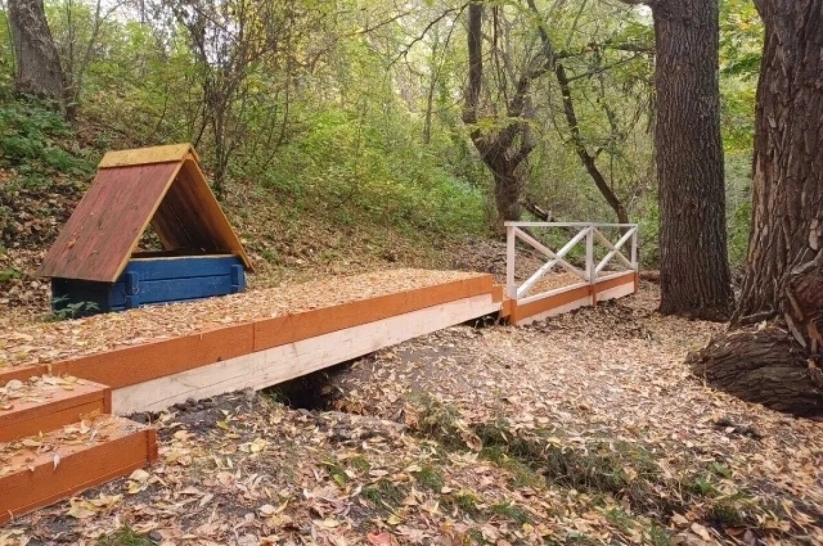    В 2025 году в Ульяновской области благоустроили 23 родника