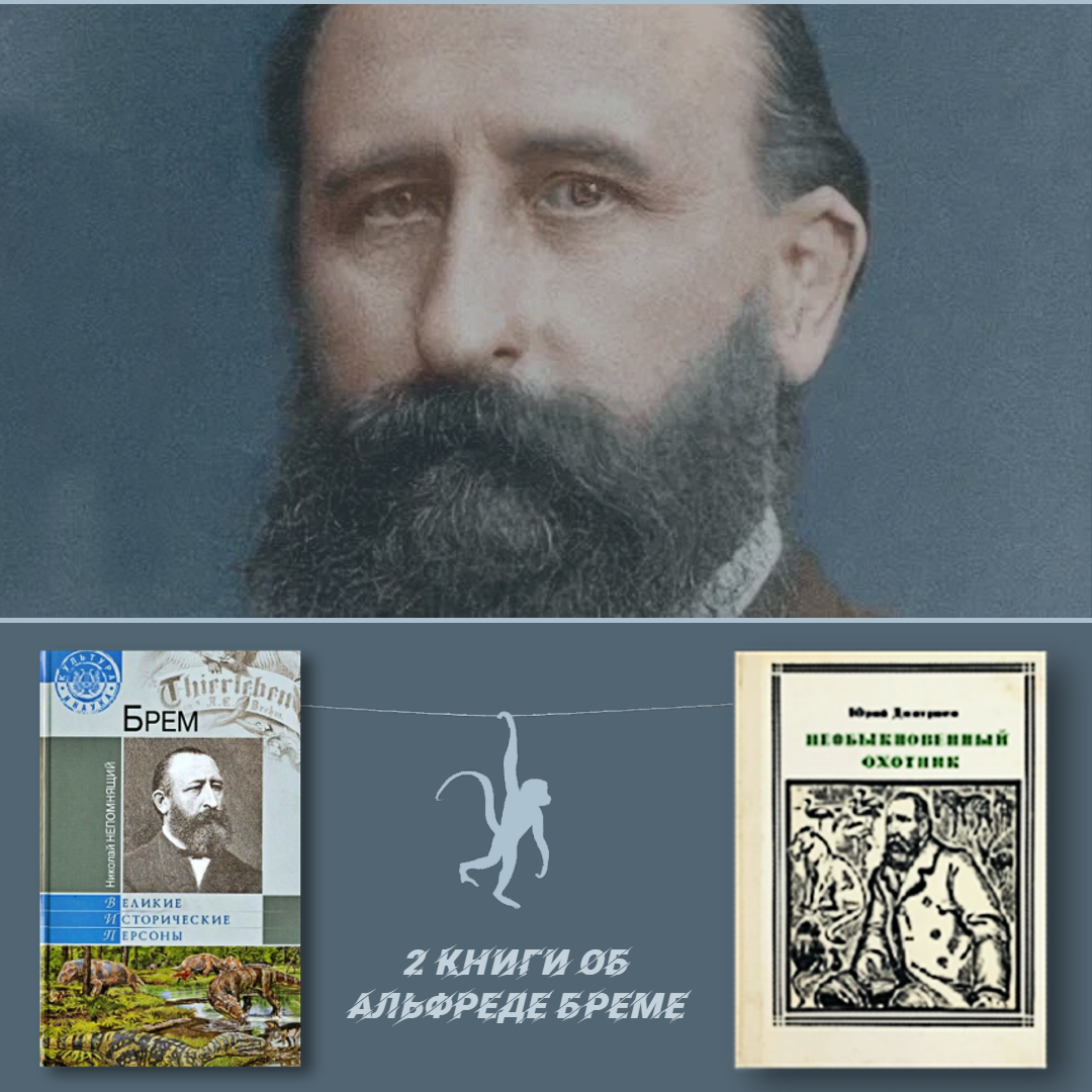 Жизнеописание А. Брема
