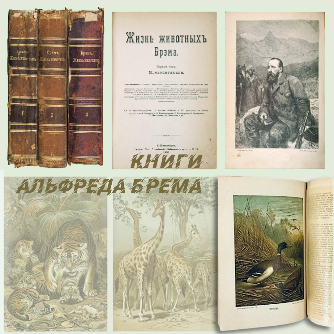 Книги А.Э. Брема