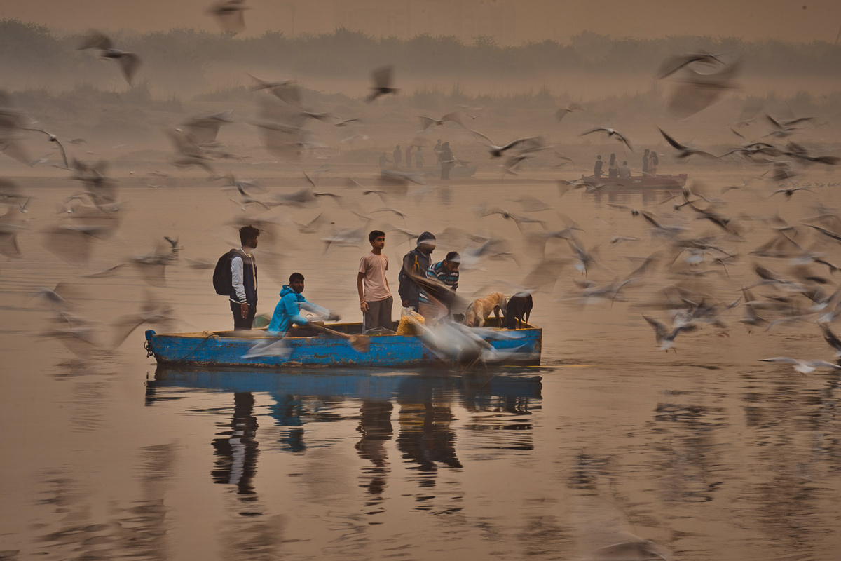   Люди кормят перелётных птиц ранним утром на берегу реки Ямуна в Нью-Дели, Индия 
Rajesh Kumar Singh / AP