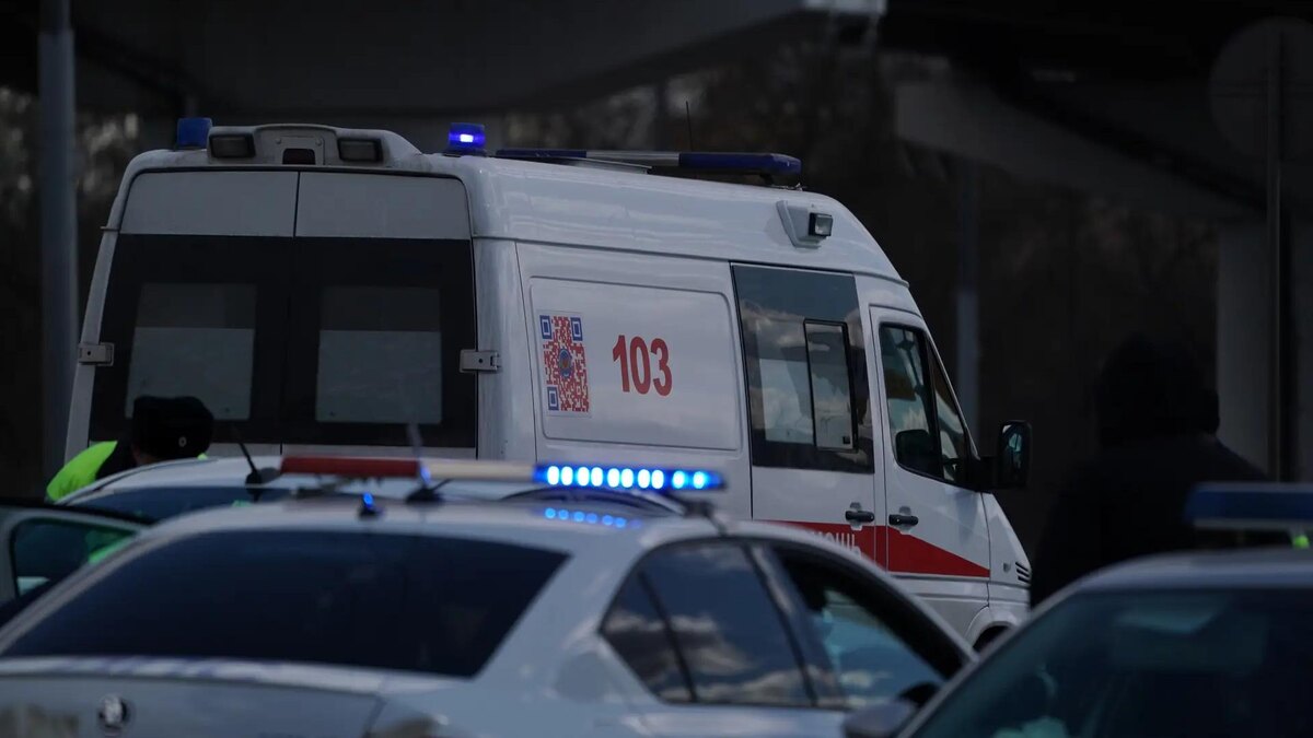    Фото: ИЗВЕСТИЯ/Дмитрий Коротаев