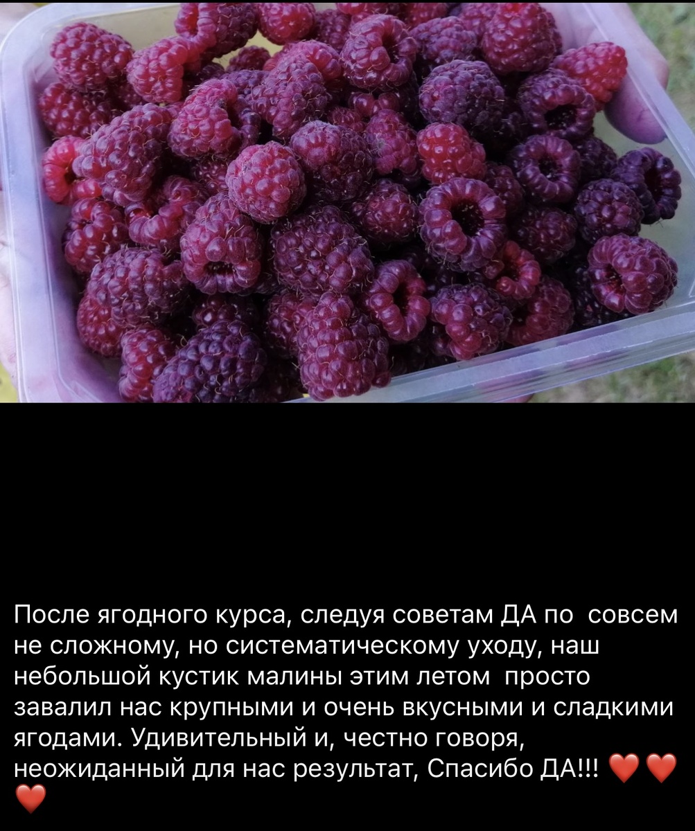 Спасибо нашим ученицам за обратную связь