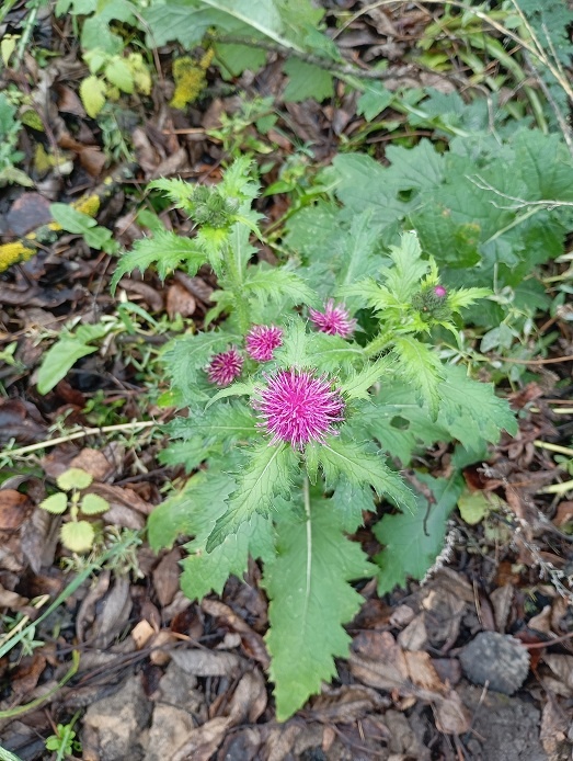 Нижний Новгород, 7 ноября 2025