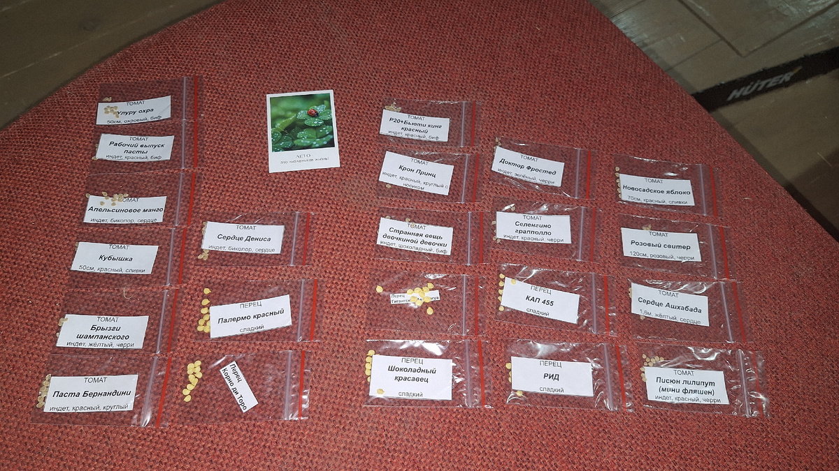 Фото автора. 