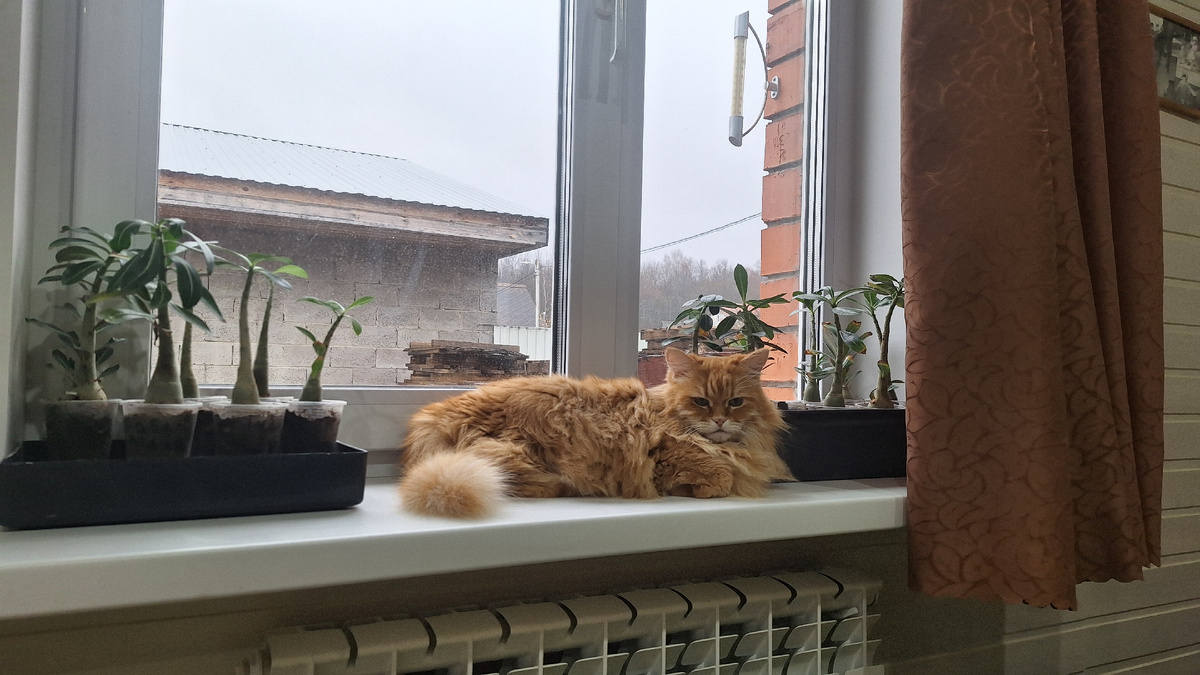 Фото автора. 