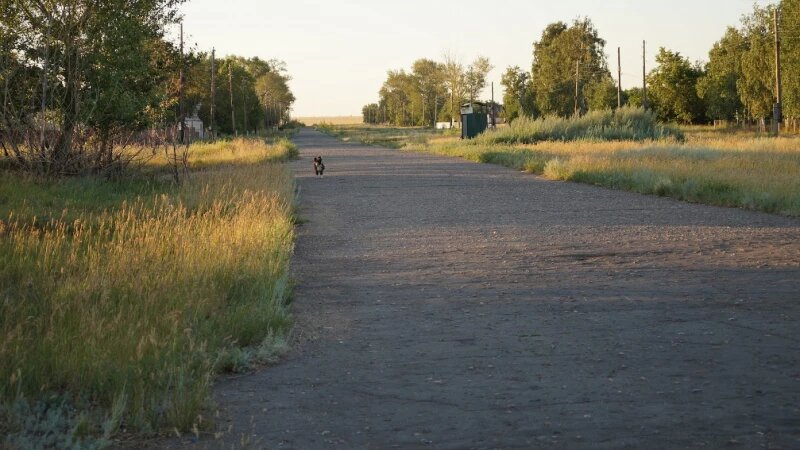     Село Райгород, Алтайский край, 2020 год. Дмитрий Шушуев, предоставлено altapress.ru