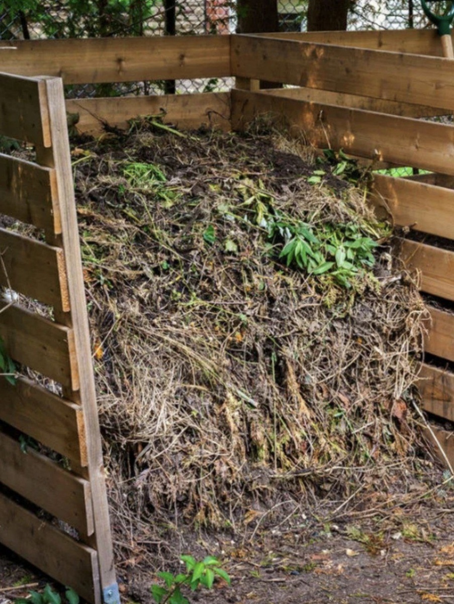 Богатство дачников 