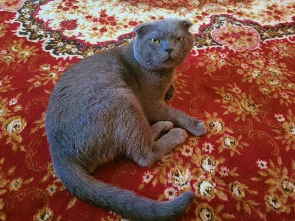 Ты ко мне не подходи...