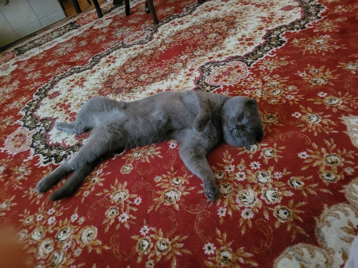 Это уже прогресс - расслабился...