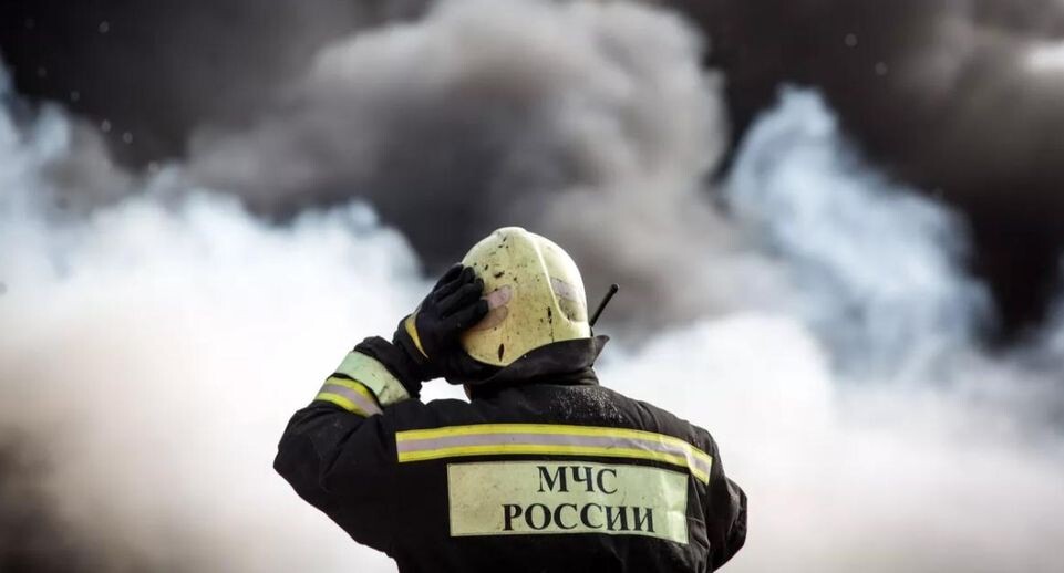    РИА «Новости»