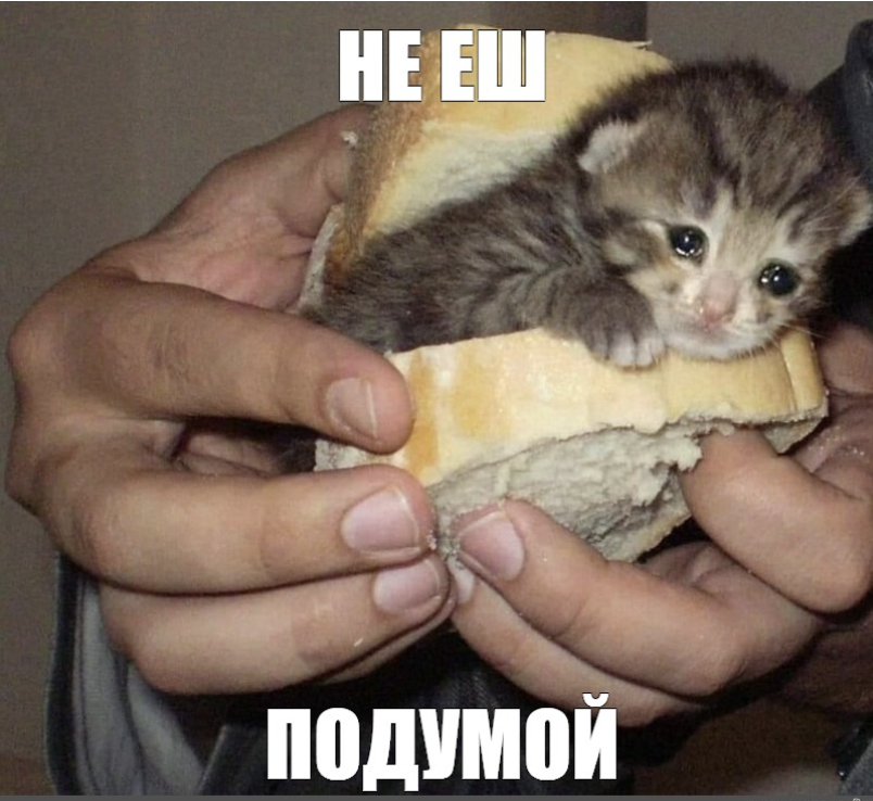 Не снимай! Подумай!!!