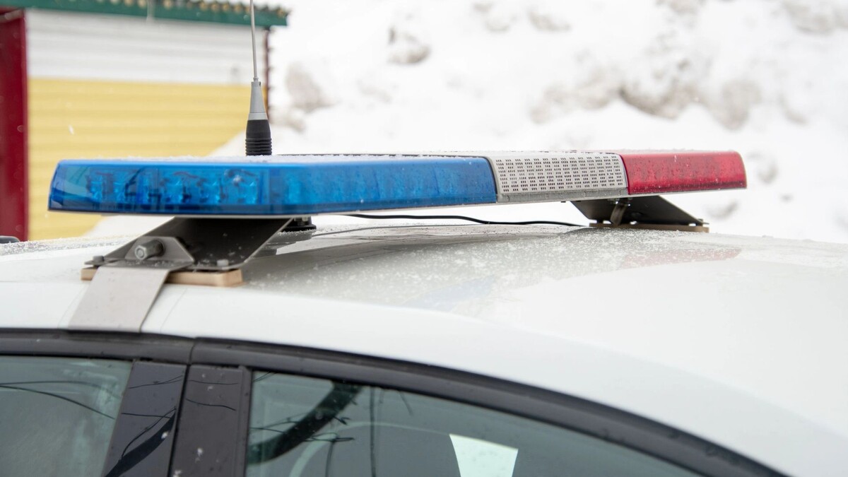    Фото: Юрий Здебский / «Ямал-Медиа»