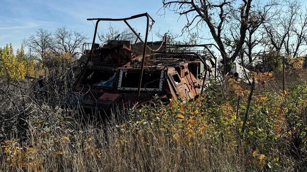    © Sputnik / Александр Харченко