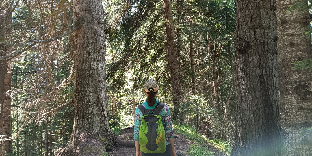 Архыз. Тропа романтиков - гуляем и узнаем интересные факты на горнолыжном курорте!