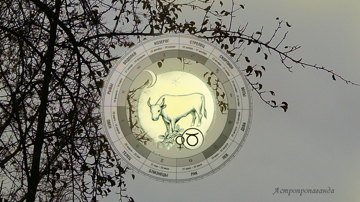 Гороскоп для Тельца с 3 по 30 ноября 2025. 