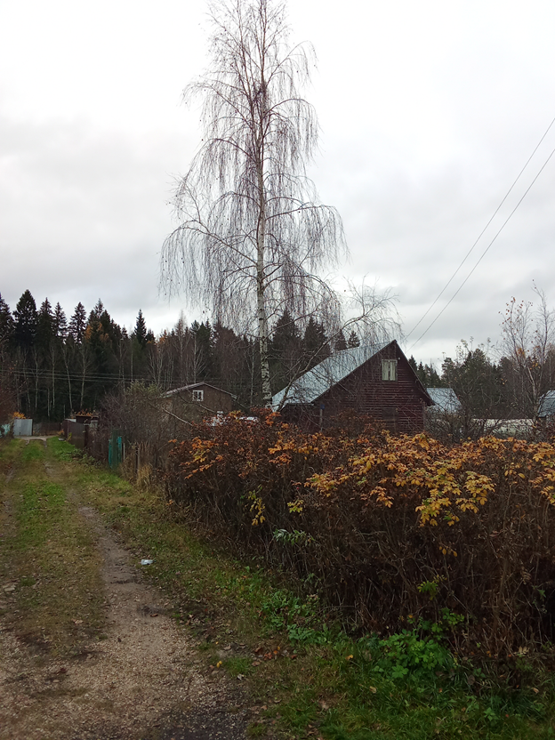 Личное фото