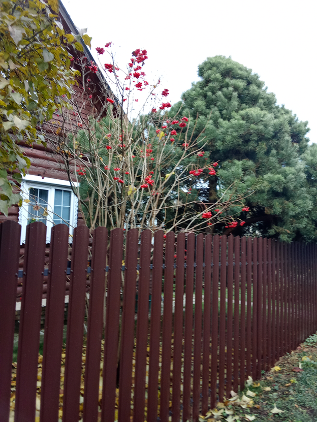 Личное фото