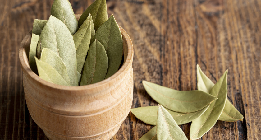    Что делать, если быстро заканчиваются деньги: хитрость с лавровым листом