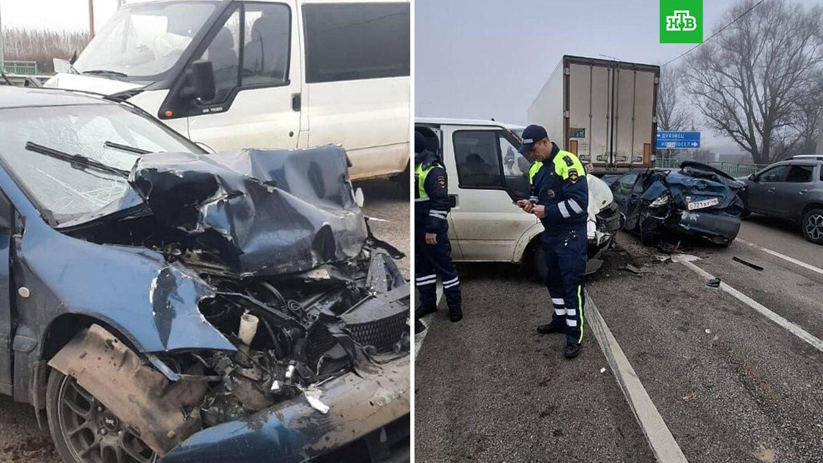    Фото: Hinshtein / t.me