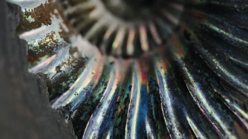 сила природы в каждом украшении/ручная работа/доставка по всему миру  