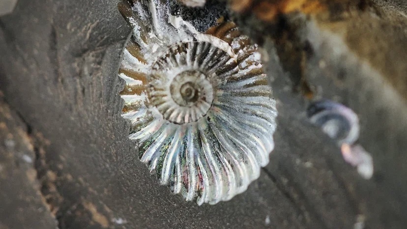 интернет-магазин украшений/натуральные камни/энергетические камни 