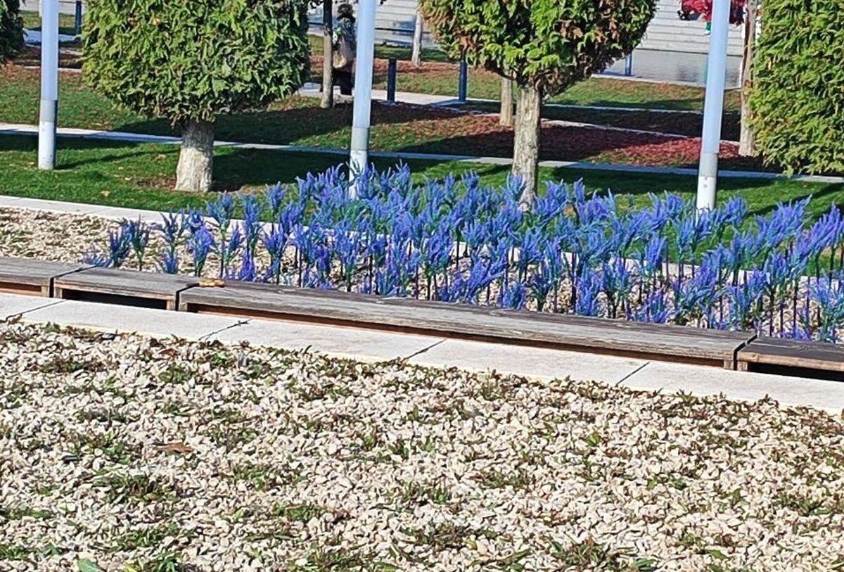    Фото t.me/park_galitskogo