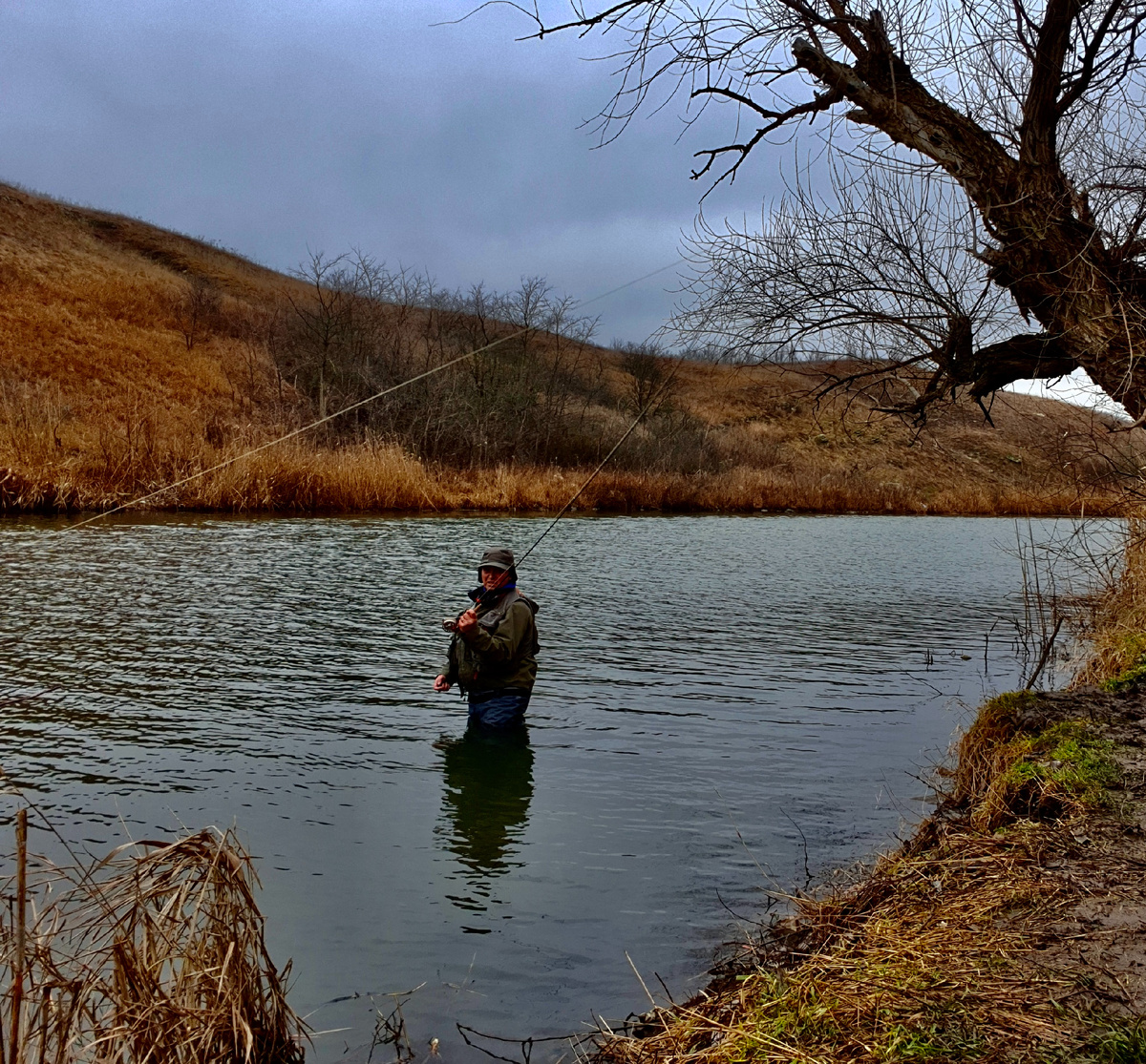 фото: Геннадий Шеляг