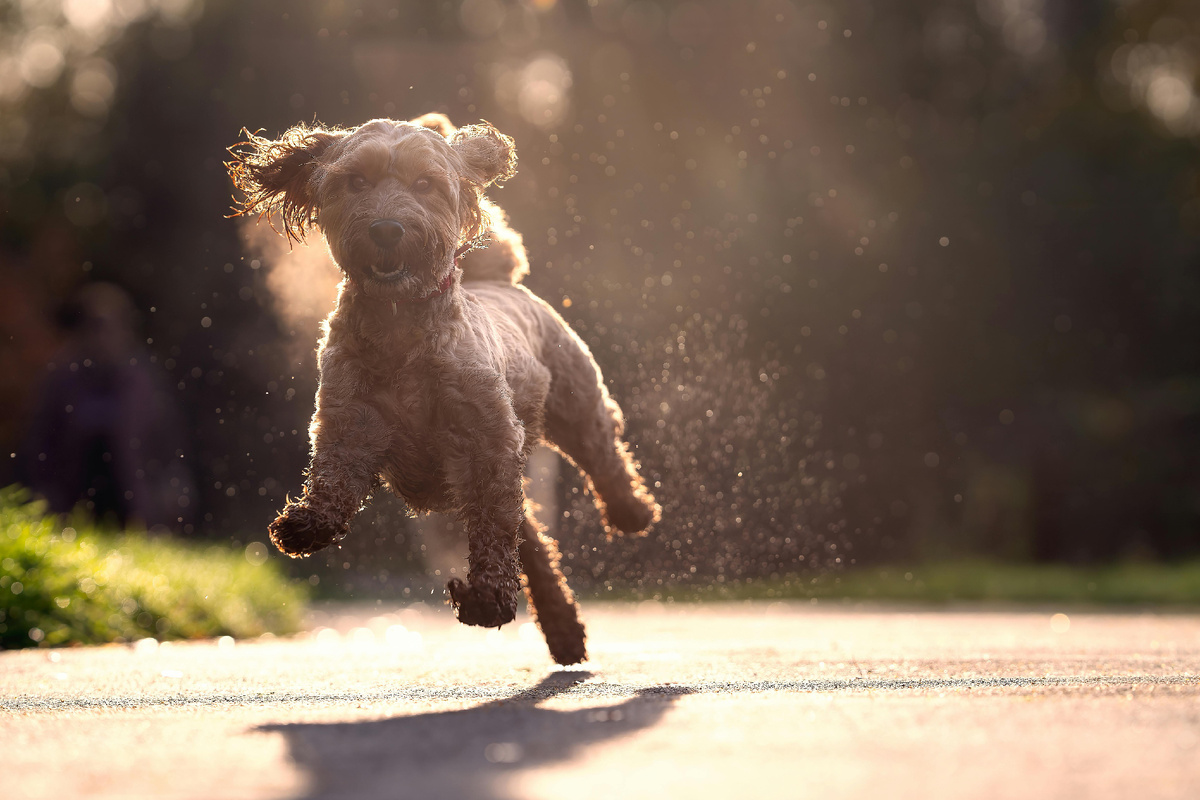 Это моя энергия сейчас так выглядит )))