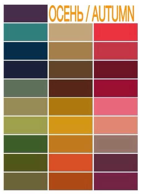 Осенняя палитра цвета