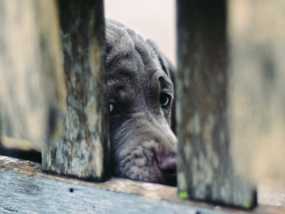 Фотография: bivoir, CC BY-NC-ND 2.0