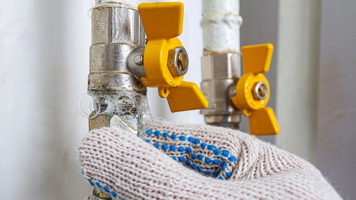    Фото: Yevhen Prozhyrko/Shutterstock/Fotodom