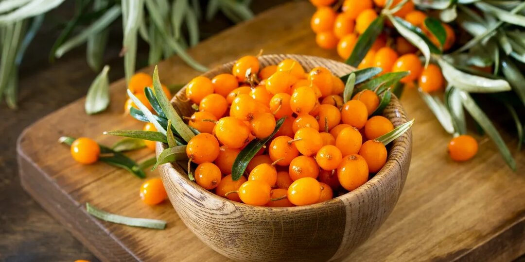 Облепиха: маленькая оранжевая сила для большого здоровья
